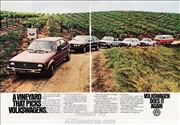 1980 Volkswagens